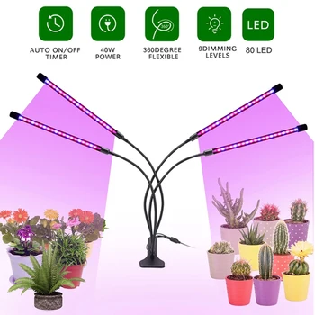 Светодиодная лампа для выращивания растений, USB фитолампа, фитолампа полного спектра, фитолампа для рассады растений, фитолампа для выращивания цветов в помещении, коробка для выращивания Мясистости